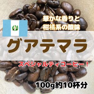 【自家焙煎珈琲100g/10杯分】グアテマラ カフェ・ピューマ/ウォッシュド/スペシャルティーコーヒー