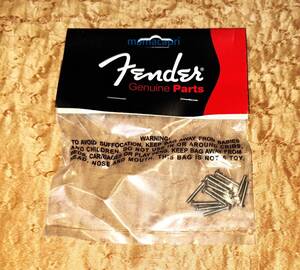 新品Fender純正 American Vintage Style Strat Saddle Intonation Screwsフェンダー ストラトキャスター Typeサドル イントネーション ビス