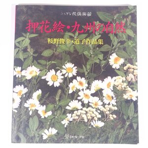 ふしぎな花倶楽部 押花絵・九州の自然 杉野俊幸・道子作品集 日本ヴォーグ社 1995 大型本 図版 図録 手芸 押し花 ※線引あり