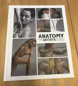 古本　洋書　ANATOMY FOR ARTISTS A visual guide to the human form 3dtotal publishing アーティストのための人体解剖学　英語