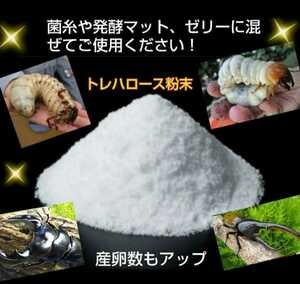 クワガタ、カブトムシのエネルギー源はコレです！トレハロース粉末１００ｇ☆マットや菌糸、ゼリーに混ぜるだけ！サイズアップ・産卵促進に