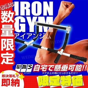 【限定セール】アイアンジム 筋トレ 懸垂 筋肉 ジム 運動 腕立て伏せ ディップネス 腹筋 トレーニング ダイエット 背筋 【自宅で筋トレ】