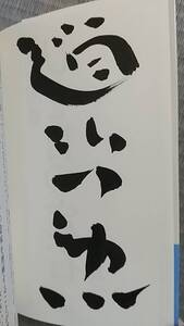 趙治勲先生　直筆サイン入り　令和版　囲碁　ひと目の定石 