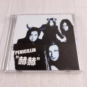 1MC3 CD PENICILLIN 赫赫 