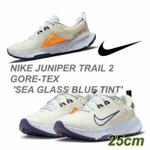 NIKE JUNIPER TRAIL 2 GORE-TEX 