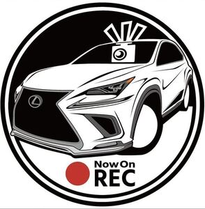 車種やカラー変更承ります　レクサス　NX 後期　Fスポーツ ドラレコ　ドライブレコーダー　ステッカー　プリント