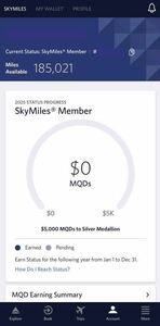 デルタ航空 DELTA スカイマイル SKYMILES 185,021マイル 口座譲渡　移行及び特典航空券発券可能