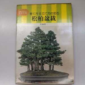 素人 松柏盆栽 育て方仕立て方の定石 片山貞一