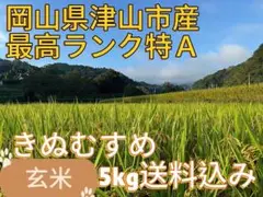 無農薬！岡山県産特Ａ取得！令和6年玄米きぬむすめ5キロ農家直販！送料込