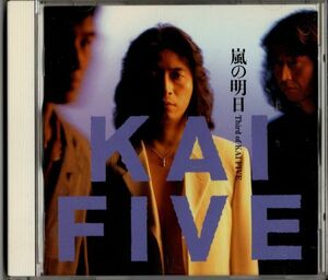 CDアルバム★KAI FIVE／嵐の明日