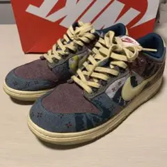 Nike Dunk Low CommunityGarden コミュニティガーデン