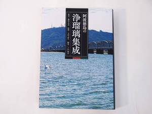 美品！阿波徳島の浄瑠璃集成 藤原若水 大和武生 丁山俊彦 全901ページ 人形浄瑠璃 阿波浄瑠璃 徳島浄瑠璃