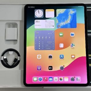 値下げ iPad Pro 13インチ 第1世代 256GB SoftBank版SIMフリー 新品未使用品 新品[27765877]