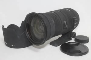 SIGMA 超望遠ズームレンズ APO 50-500mm F4.5-6.3 DG OS HSM ニコン用 フルサイズ対応 (001-025)