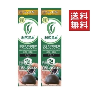 ●利尻昆布 炭酸カラーシャンプー 180g ×2本 ブラック ★平日毎日発送★ 白髪用 自然派club サスティ