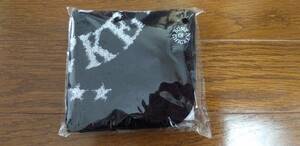 BUMP OF CHICKEN　グッズ　.POUCH　どっとポーチ　タオル　バンプオブチキン　ポーチ