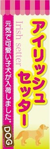 のぼり　のぼり旗　アイリッシュセッター 可愛い子犬が入荷