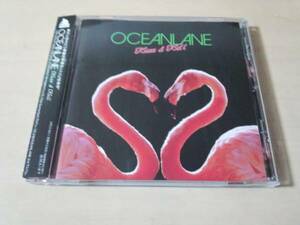 OCEANLANE CD「KISS & KILL」●