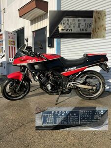 ヤマハ　FZ250 1KG ジャンク　部品取り用