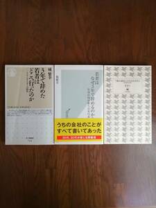 【若者はなぜ３年で辞めるのか?】【年で辞めた若者はどこへ行ったのか】【７割は課長にさえなれません】城 繁幸　著の３冊　　