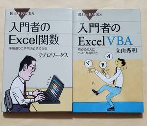 【即決・送料込】入門者のExcel関数 + 入門者のExcel VBA　新書2冊セット