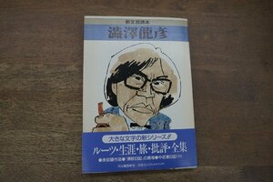 ◎新文芸読本　澁澤龍彦　河出書房新社　1993年|送料185円