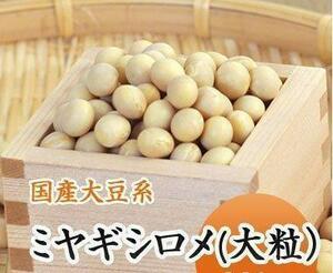 大好評の良質 大豆!　ミヤギシロメ　低温専用保管　10kg前後