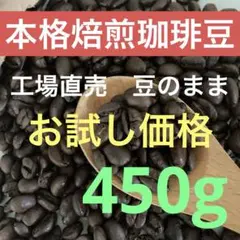 焙煎コーヒー　コーヒー豆　ブレンドコーヒー　豆のまま 450g ローストコーヒー