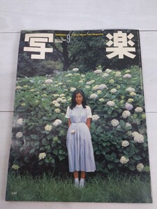 「送料無料」○ 写楽 1980年 昭和55年9月 欠品手塚さとみポスター 手塚さとみ　 阿川泰子