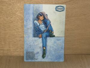 新品　未使用　当時　ふしぎの海のナディア　the secret of blue water nadia jean アニメ　希少　下敷き　vintage retoro c