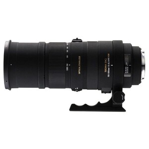 中古 １年保証 美品 SIGMA APO 150-500mm F5-6.3 DG OS HSM (ニコンF用)