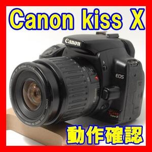 初心者入門 Canon Kiss Digital X 標準レンズセット