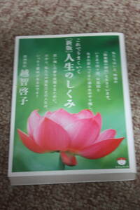 人生のしくみ（超☆ぴかぴか文庫）越智啓子:精神科医/笑いの天使になろう/人間関係/スピリチュアル/輪廻転生/ソウルメイト/ヒカルランド