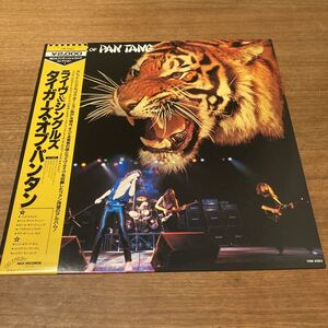 日本盤 帯付き TYGERS OF PAN TANG タイガーズ オブ パンタン / LIVE & SINGLES ライヴ & シングルズ VIM-4083