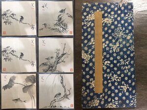 【安】中国清代画家「八大山人書」紙本「花鳥図冊頁 6開頁」短冊 中国画 墨寶妙品 中国書道 古美味 古美術 059