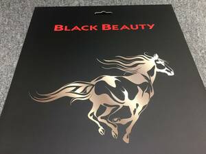 【在庫SALE】AUDIOQUEST Black Beauty (XLR1.0m) [XLRケーブル] 4951035079171 