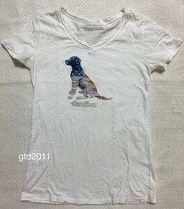 エディーバウアー◇半袖◇Tシャツ◇カットソー◇PXS / 犬 国旗