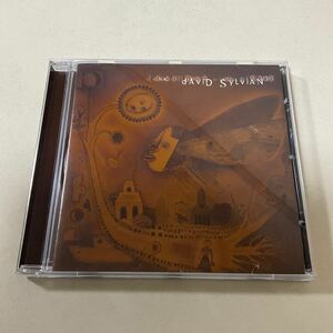 輸入盤 David Sylvian Dead Bees On A Cake/Japan