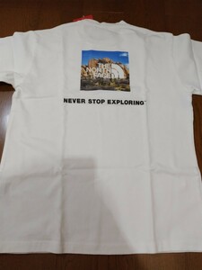 国内正規 新品未使用タグ付 ノースフェイス 半袖Tシャツ 白 L NT31952 レターパックプラス520円