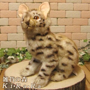 置物 動物 可愛い 猫　ぬいぐるみ　リアル　ベンガルヤマネコ　 ねこ　アニマル　オブジェ　雑貨　モチーフ　インテリア　癒し