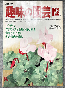 NHK 趣味の園芸 昭和55年 12月 シクラメン クリスマスと正月の寄せ植え ガーデニング 盆栽 花壇 菜園