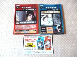 明治 Meiji チョコスナック BJ ブラックジャック オペカード カルテカード ２枚