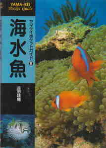 吉野雄輔著★「ヤマケイポケットガイド⑧　海水魚」