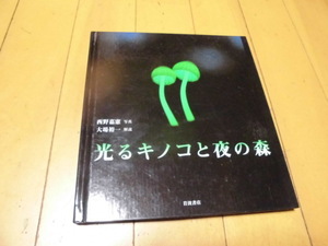 光るキノコと夜の森　　西野嘉憲・写真　大場裕一・解説　　岩波書店