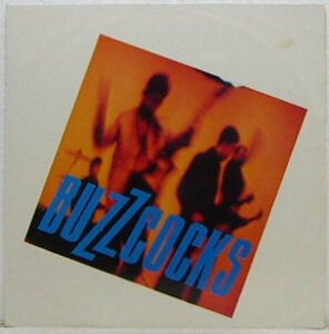 12”Single,BUZZCOCKS　LIBERTINE ANGEL 輸入盤