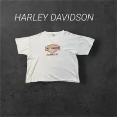 HARLEY DAVIDSON ハーレーダビッドソン　ボックスシルエット　刺繍