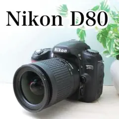 色彩鮮やか⭐️Nikon D80⭐️ニコン⭐️入門機⭐️一眼レフカメラ⭐️簡単