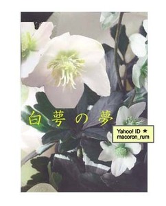 ゴーストハント同人誌★ umbra in luce 師走朔【白萼の夢】ナル×麻衣 ナル麻衣 調査