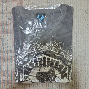 倉木麻衣のライブグッズ(FUTURE KISS) Tシャツ　　サイズ－L