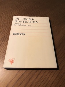 クレーヴの奥方　ラファイエット夫人/青柳瑞穂訳　新潮文庫